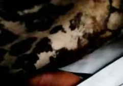 Der Phallus-Mann wird von mega tittenfick einem jungen Liebhaber hervorragend und gründlich angesaugt